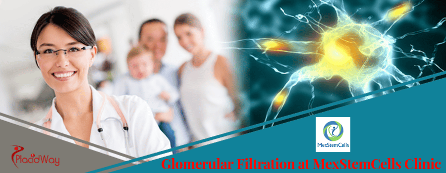 What is Glomerular Filtration